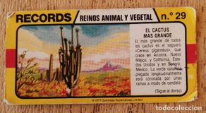Colecionismo Cromos antigos: Cromo Records Bimbo n°29, Cactus